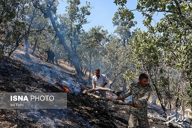 "ملکه ایران" سیاه بخت شد